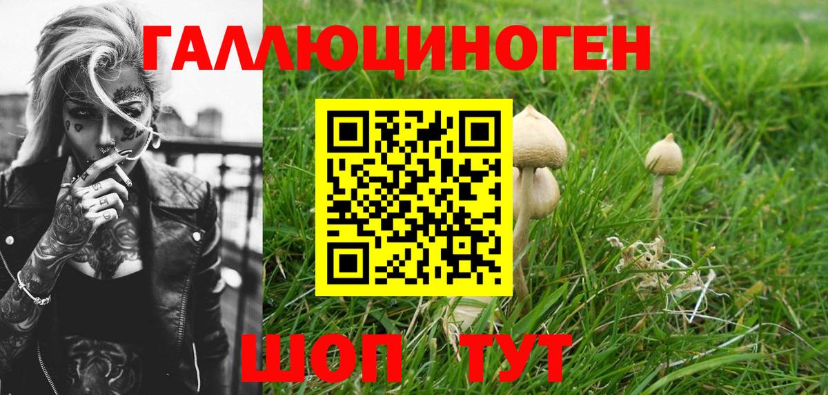 Керчь  Псилоцибиновые грибы MAGIC MUSHROOMS  Вход с VPN 