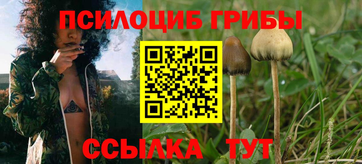 Галлюциногенные грибы мухоморы Керчь